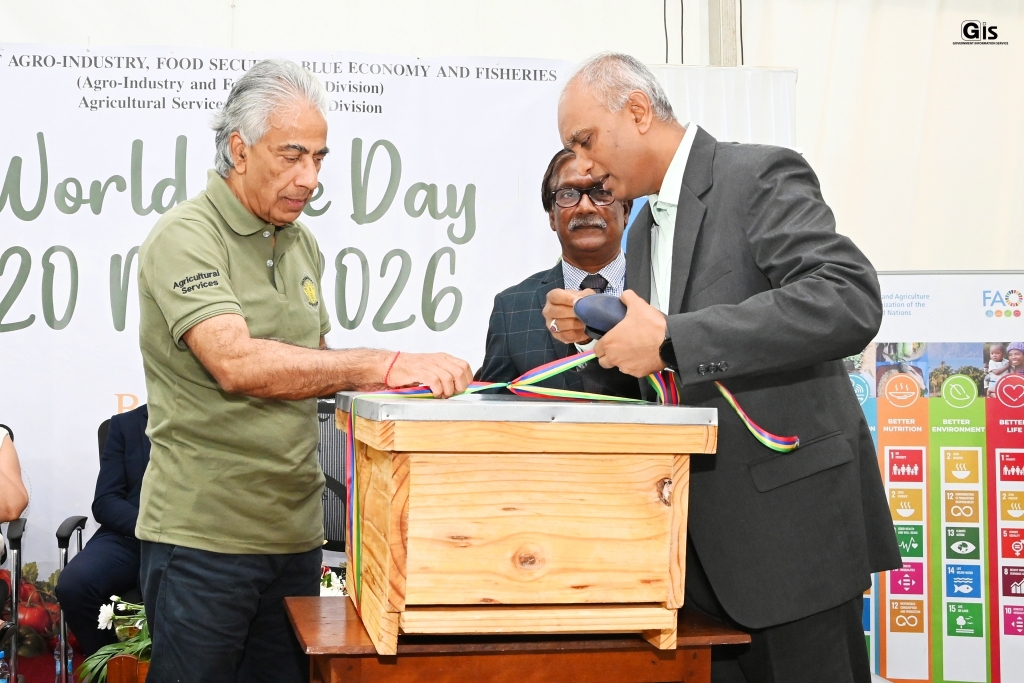 World Bee Day 2026: Dr Boolell calls for stronger beekeeping sector and ...